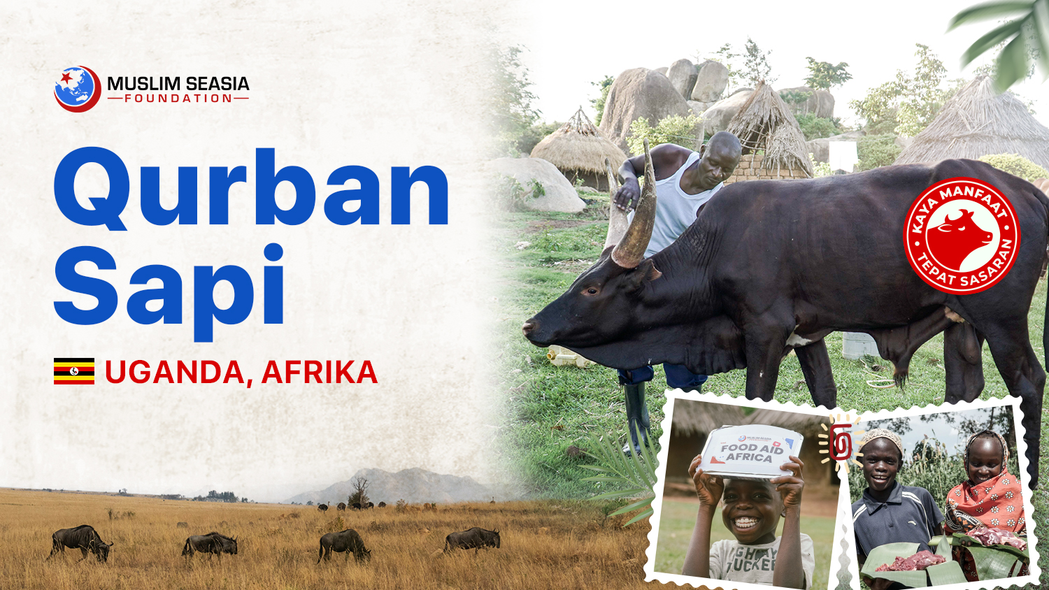 Qurban Sapi Utuh di Uganda Afrika